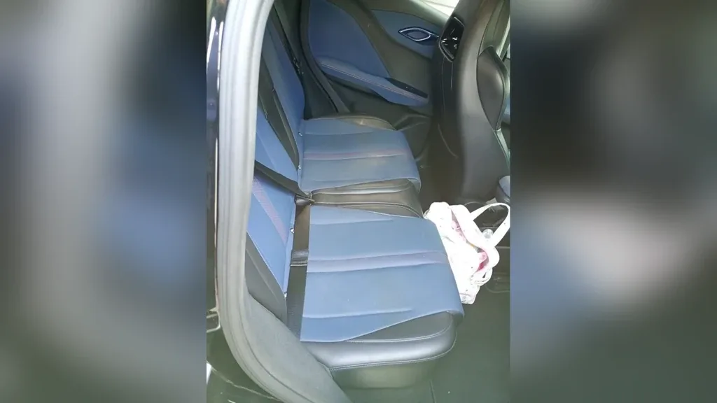 BYD Dolphin Mini - Imagem 4