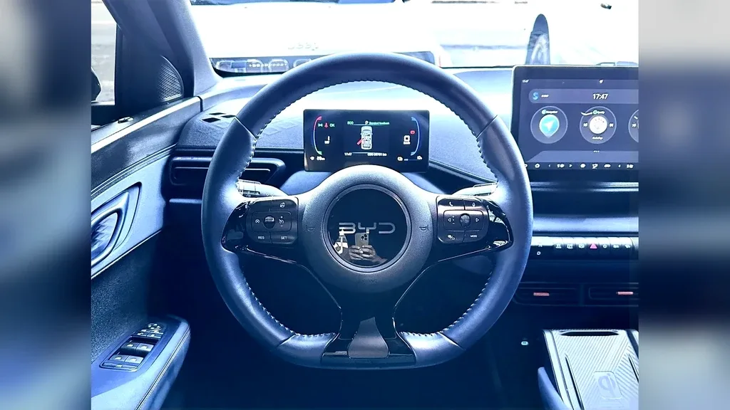 BYD Dolphin Mini - Imagem 14