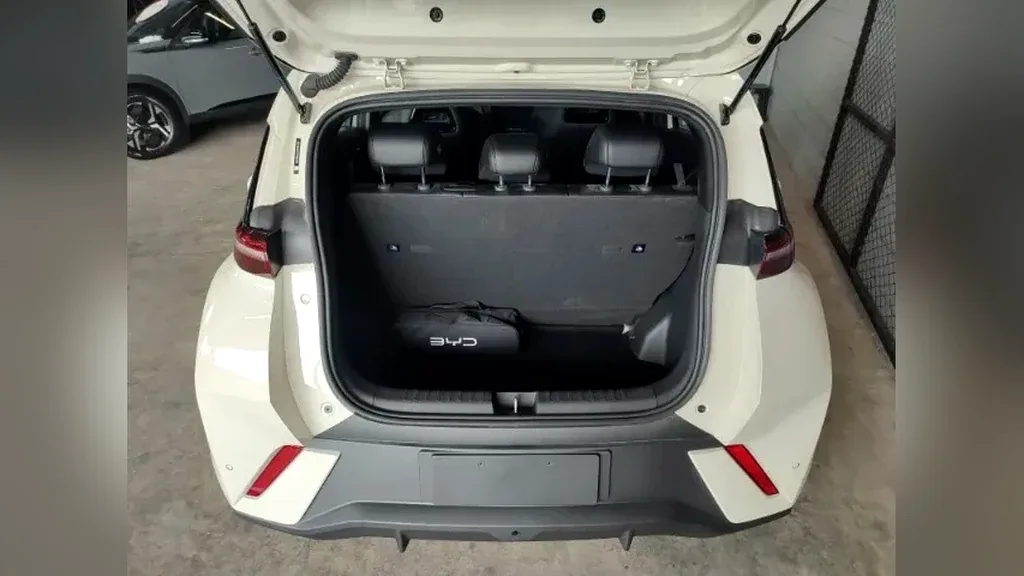 BYD Dolphin Mini - Imagem 12