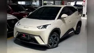 BYD Dolphin Mini - Miniatura 1