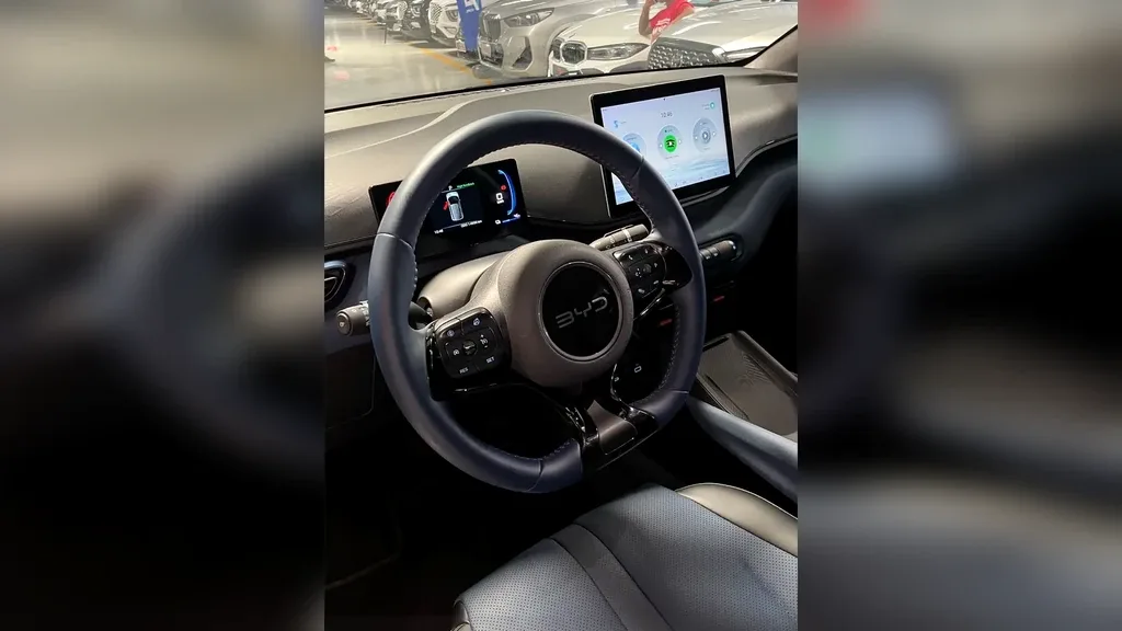 BYD Dolphin Mini - Imagem 13