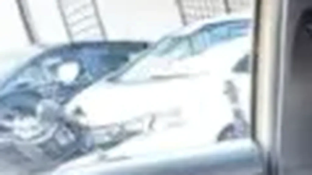 BYD Dolphin Mini - Imagem 8