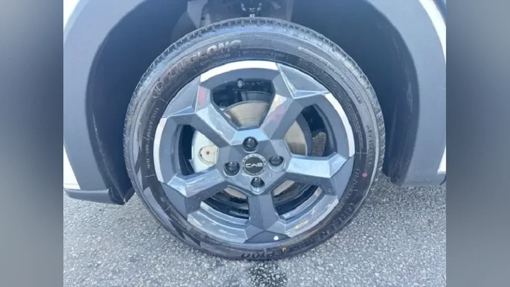 BYD Dolphin Mini - Imagem 19