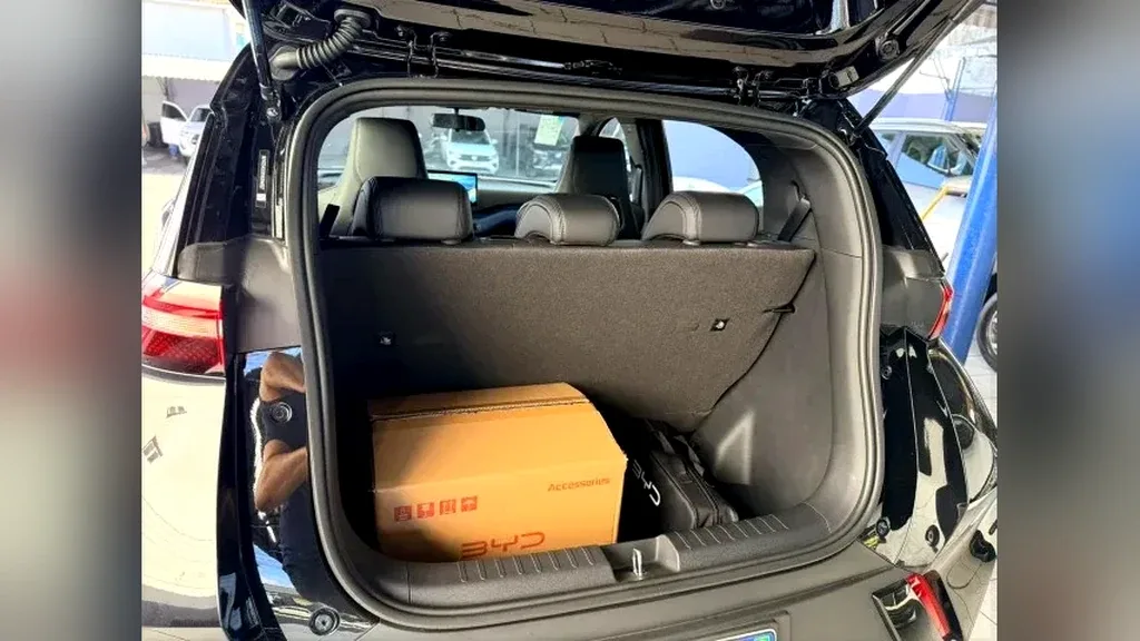 BYD Dolphin Mini - Imagem 14