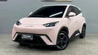 BYD Dolphin Mini - Miniatura 1