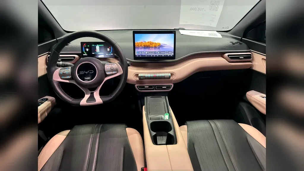 BYD Dolphin Mini - Imagem 10