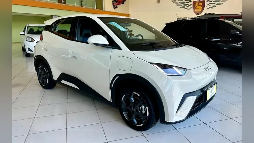 Foto de um byd dolphin