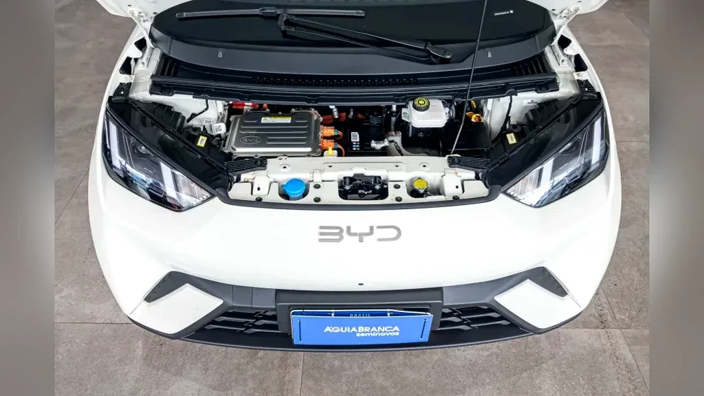 BYD Dolphin Mini - Imagem 6