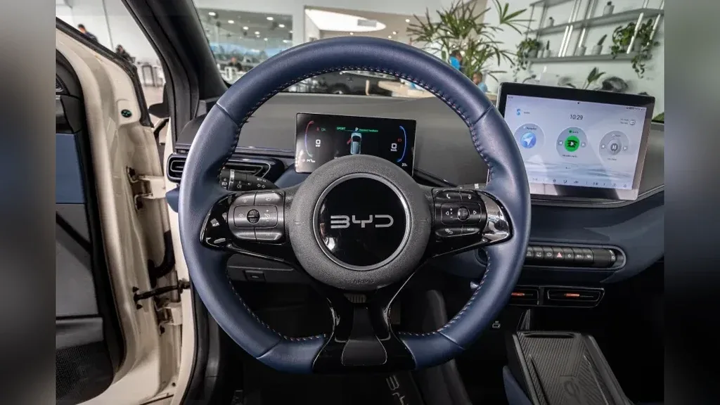 BYD Dolphin Mini - Imagem 15