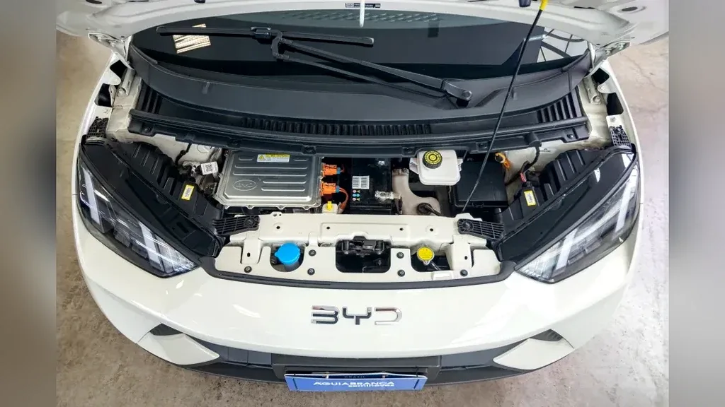 BYD Dolphin Mini - Imagem 6