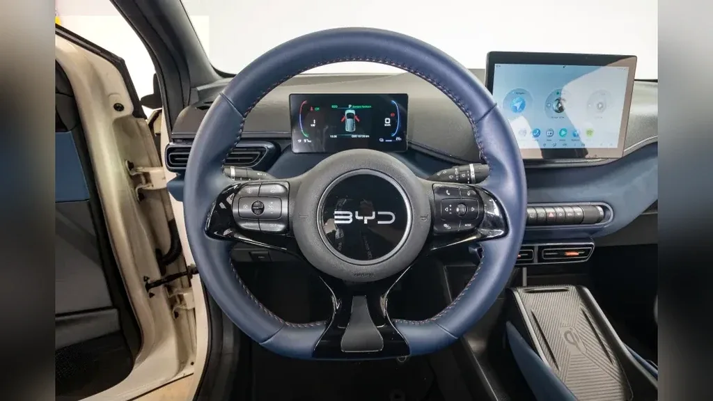 BYD Dolphin Mini - Imagem 15