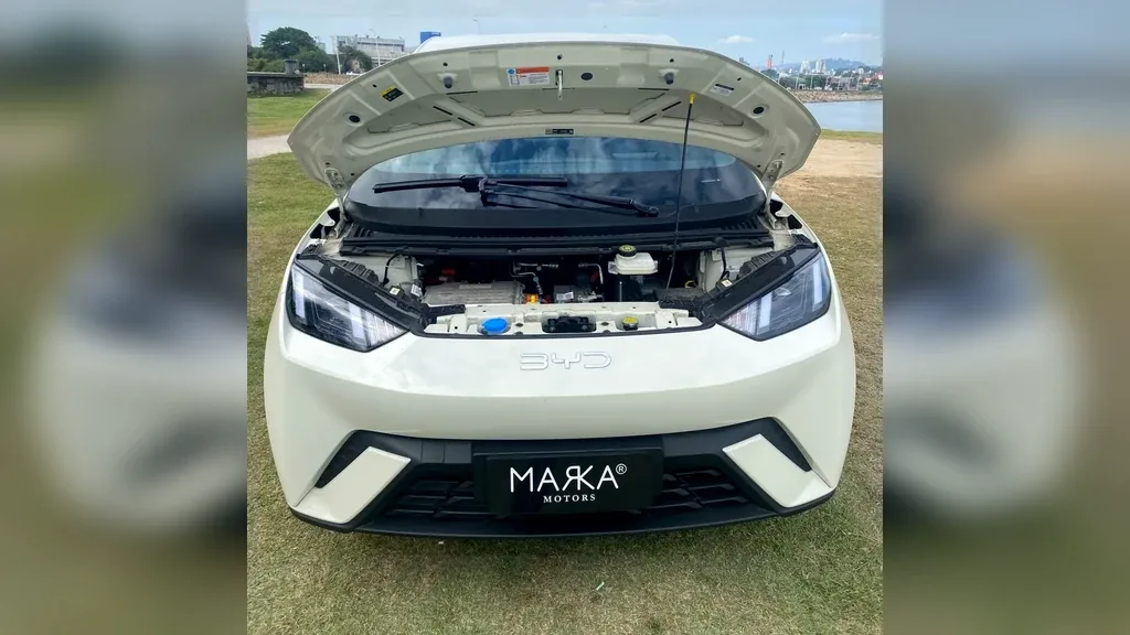 BYD Dolphin Mini - Imagem 9