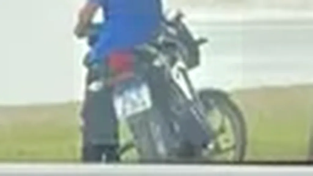 BYD Dolphin Mini - Imagem 11