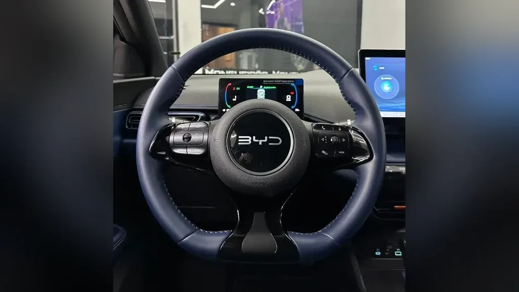 BYD Dolphin Mini - Imagem 6