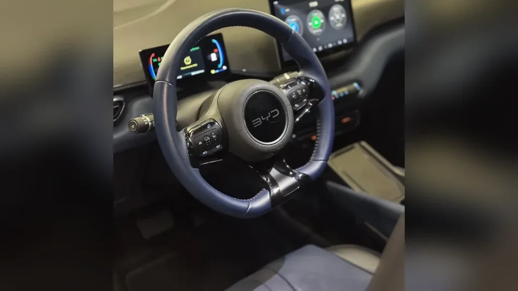 BYD Dolphin Mini - Imagem 8