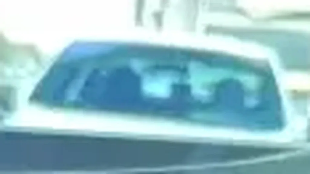 BYD Dolphin Mini - Imagem 6