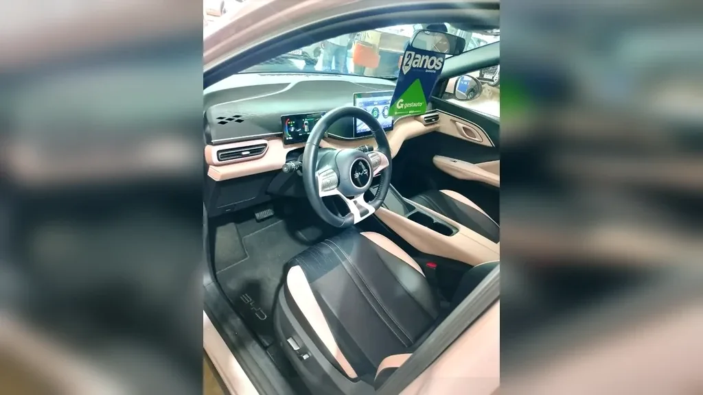 BYD Dolphin Mini - Imagem 8