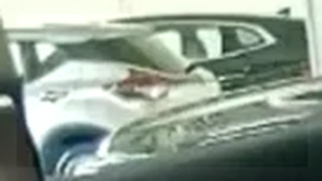 BYD Dolphin Mini - Imagem 9