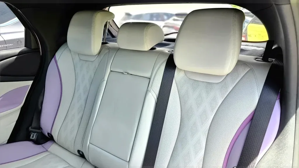 BYD Dolphin Plus - Imagem 13