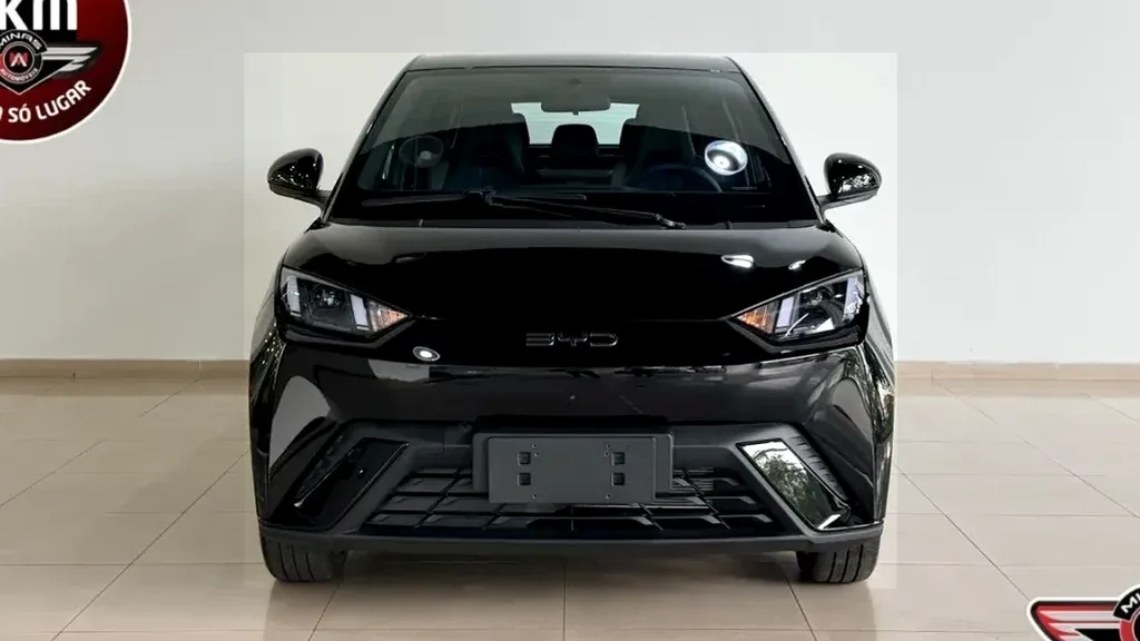 BYD Dolphin Mini - Imagem 2