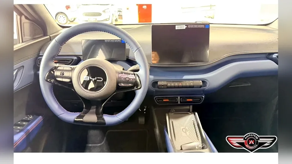 BYD Dolphin Mini - Imagem 11