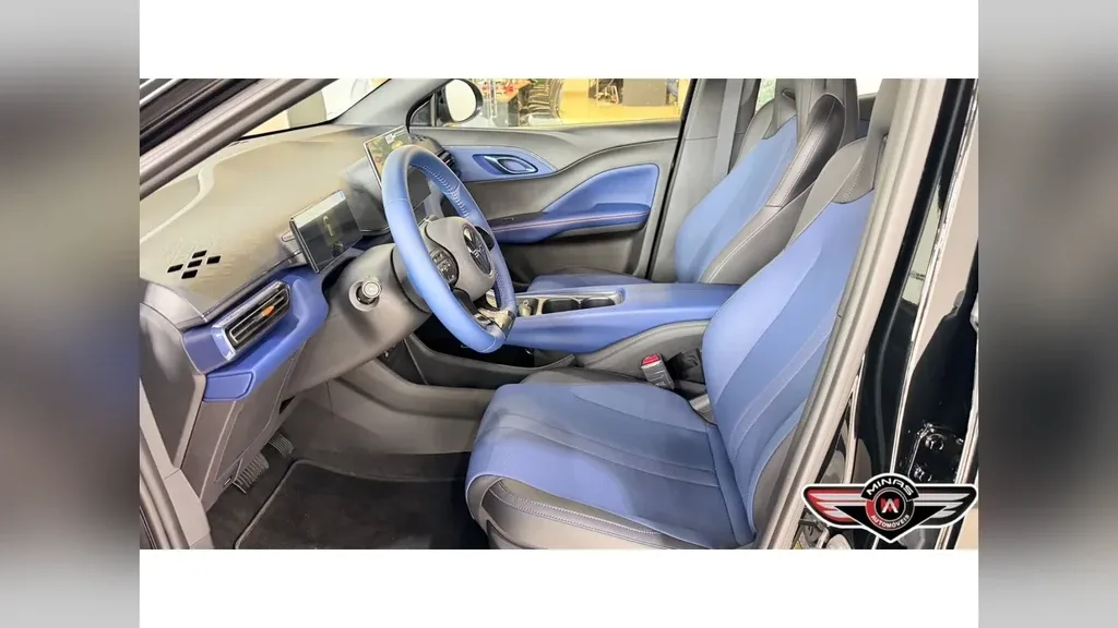 BYD Dolphin Mini - Imagem 14