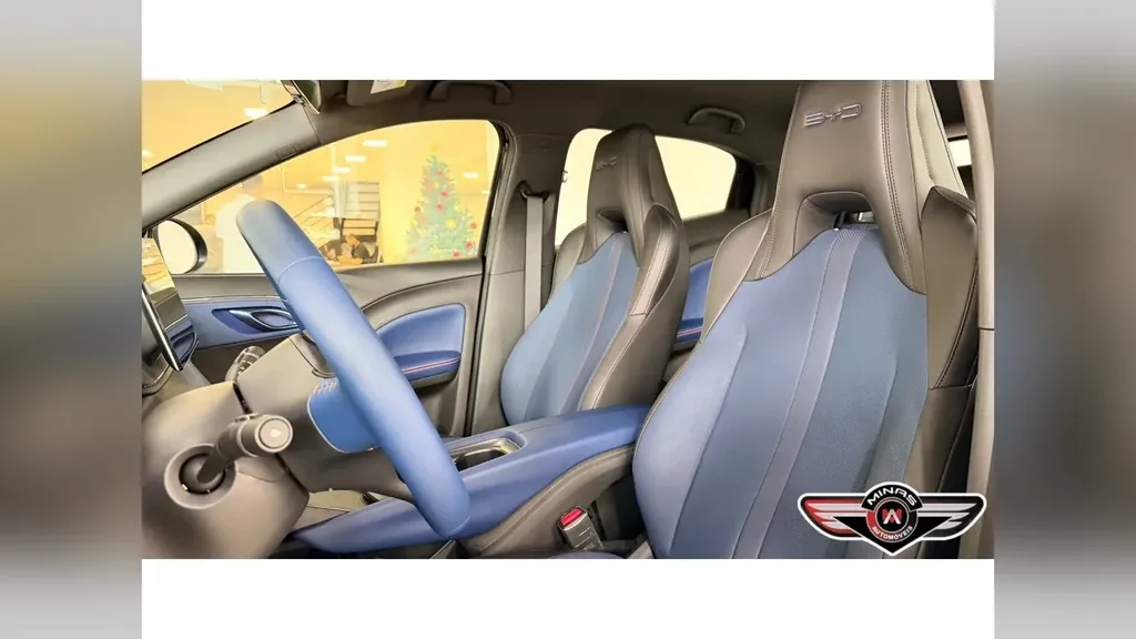 BYD Dolphin Mini - Imagem 15