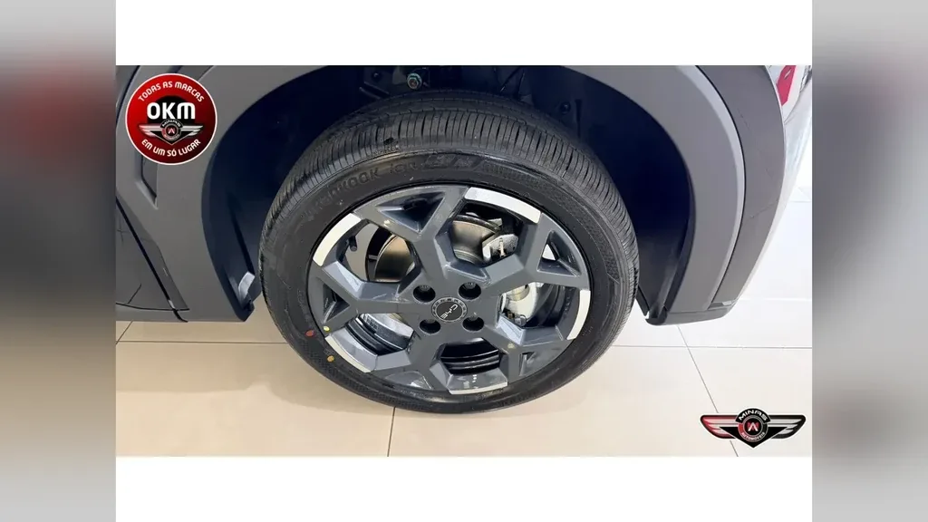 BYD Dolphin Mini - Imagem 20