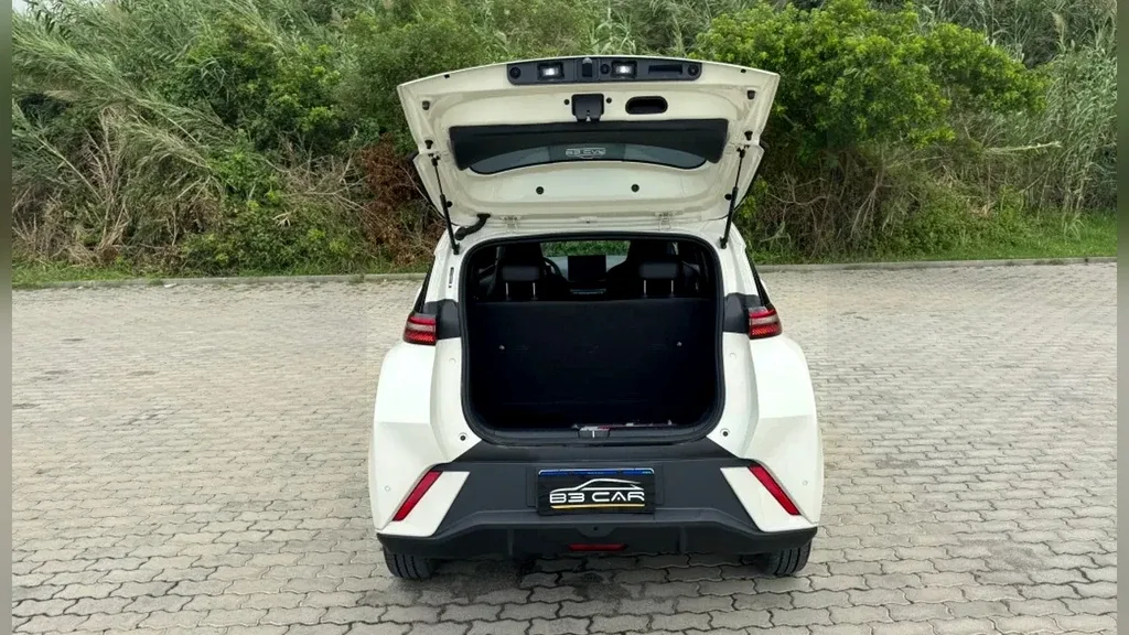 BYD Dolphin Mini - Imagem 9