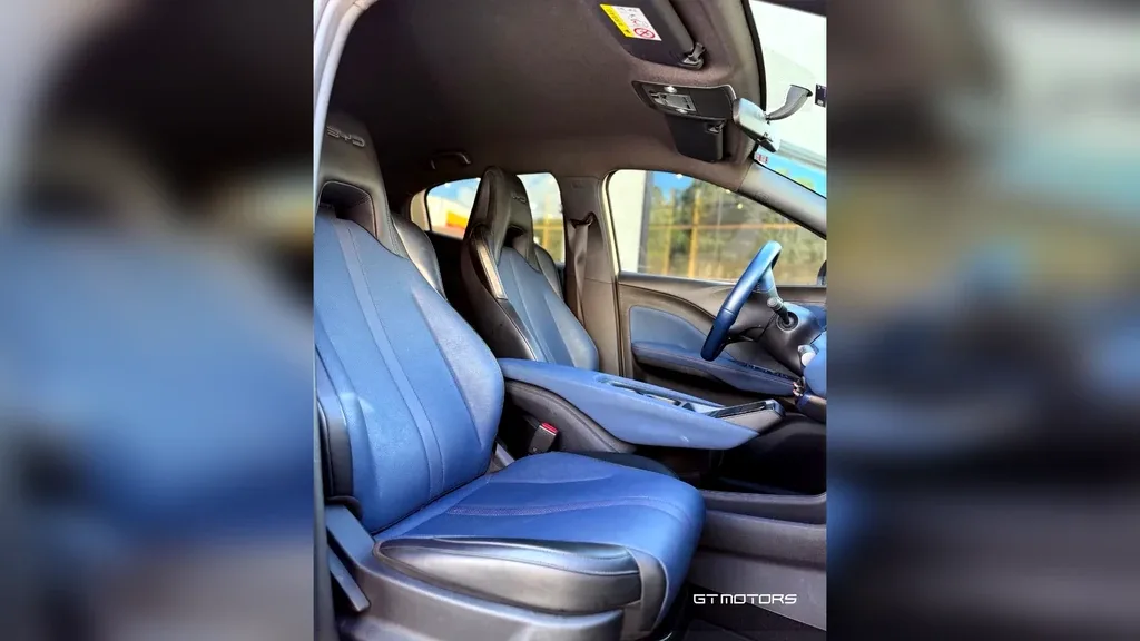 BYD Dolphin Mini - Imagem 11