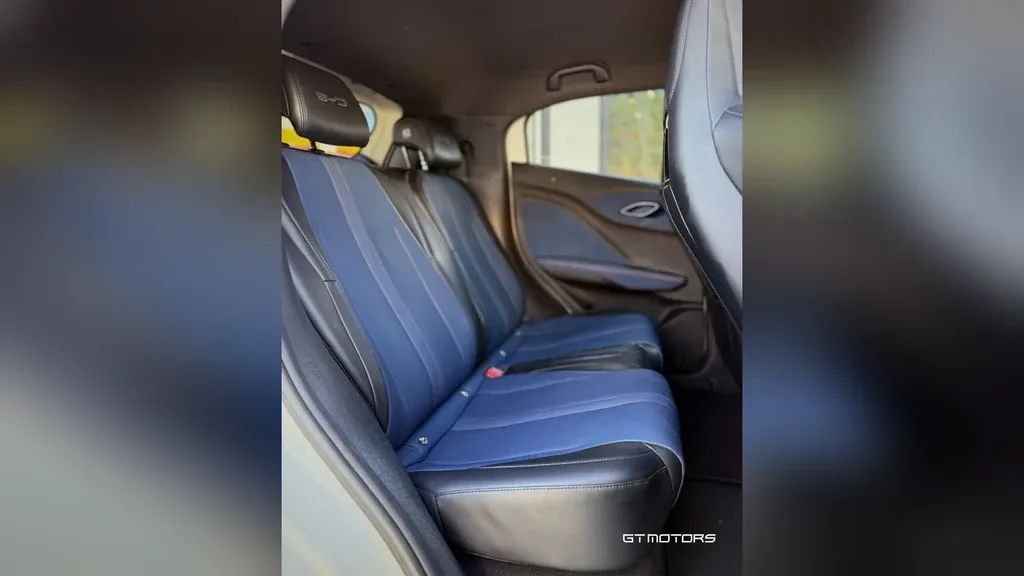 BYD Dolphin Mini - Imagem 12