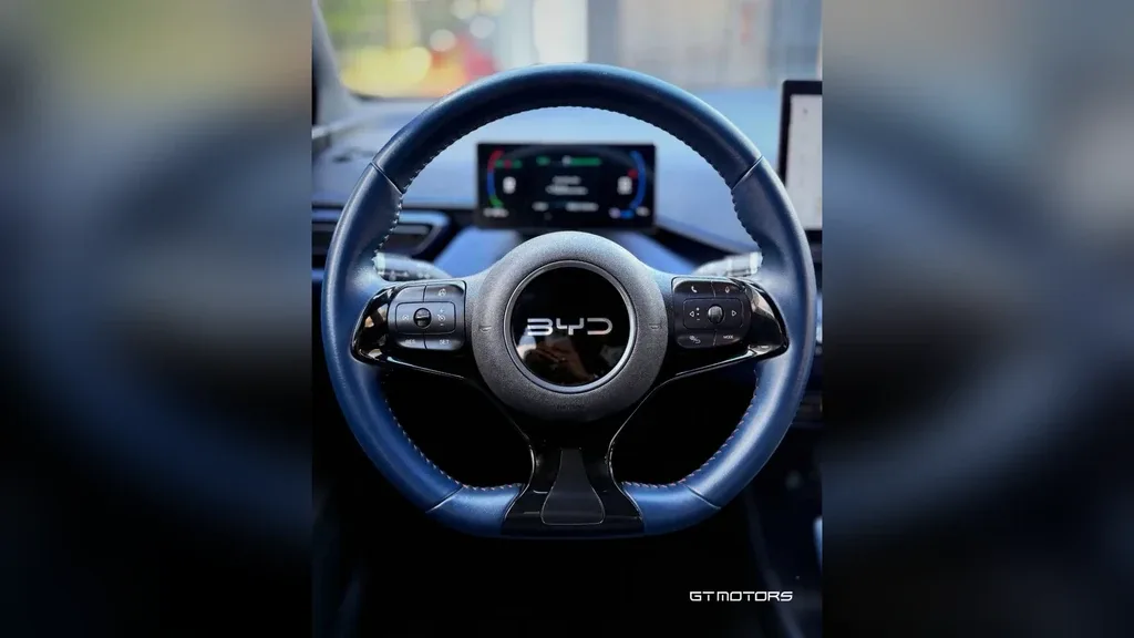 BYD Dolphin Mini - Imagem 15