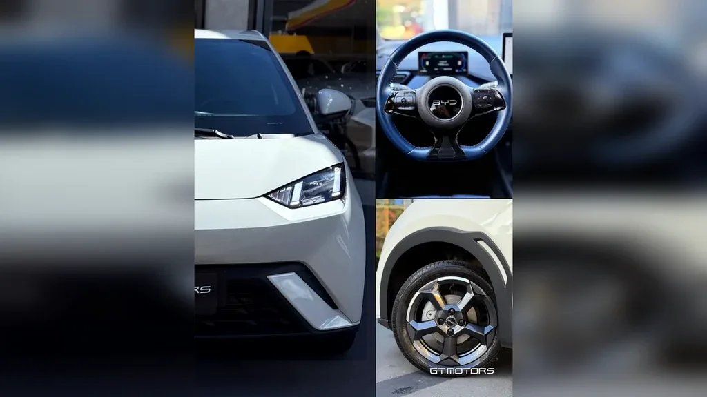 BYD Dolphin Mini - Imagem 19