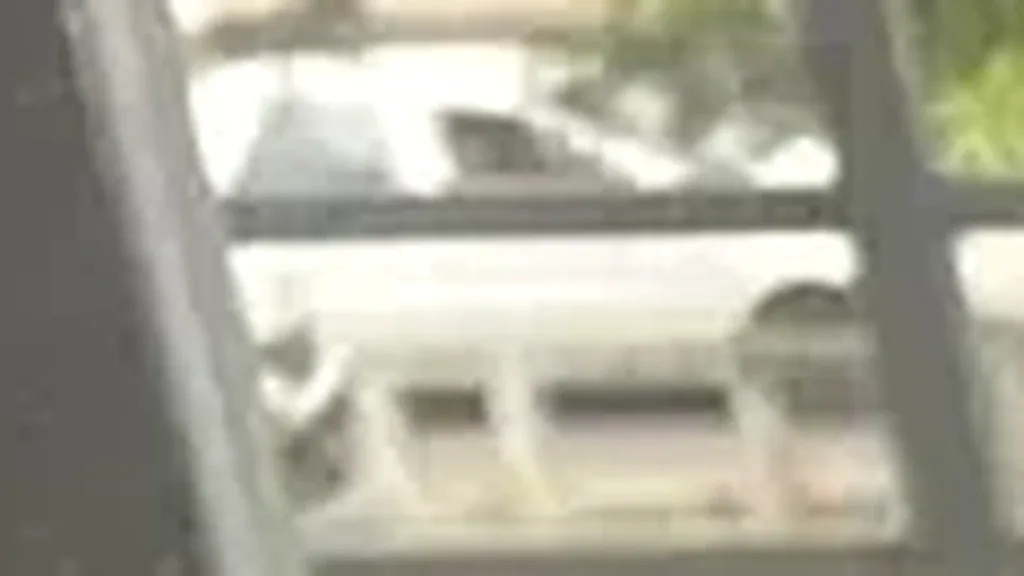 BYD Dolphin Mini - Imagem 6