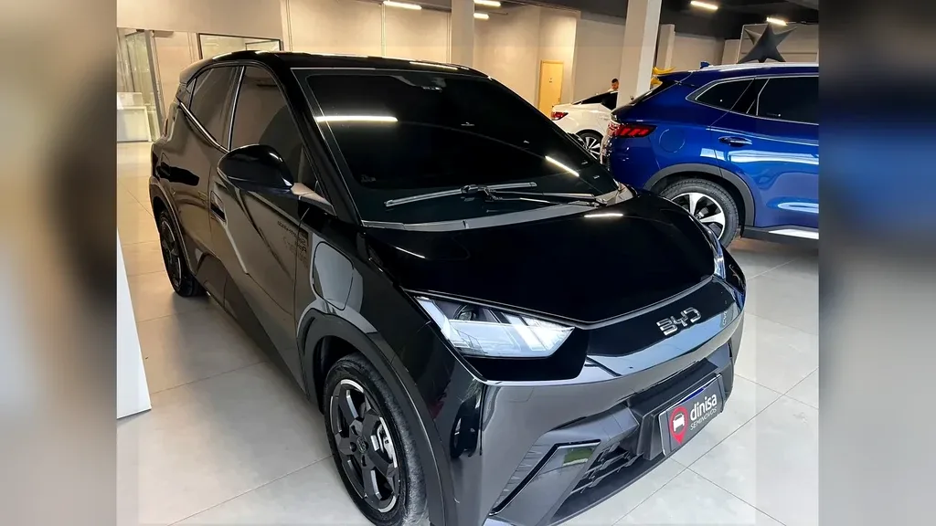 Foto de um byd dolphin mini