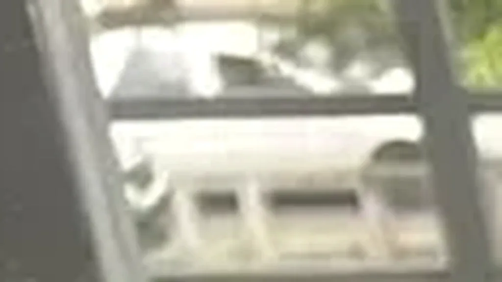 BYD Dolphin Mini - Imagem 4