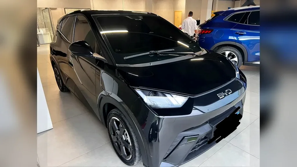 BYD Dolphin Mini - Imagem 6