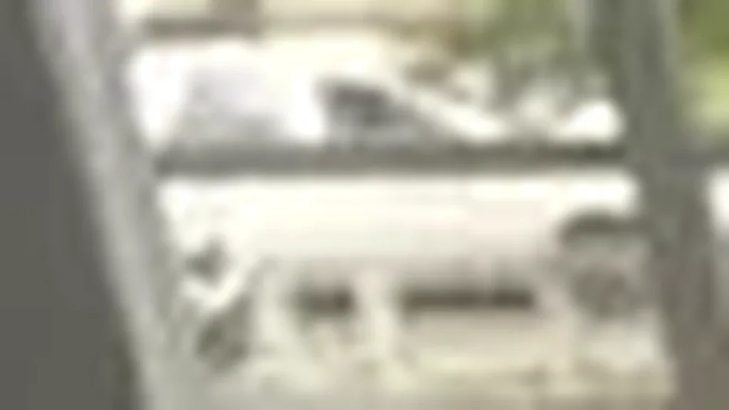 BYD Dolphin Mini - Imagem 5