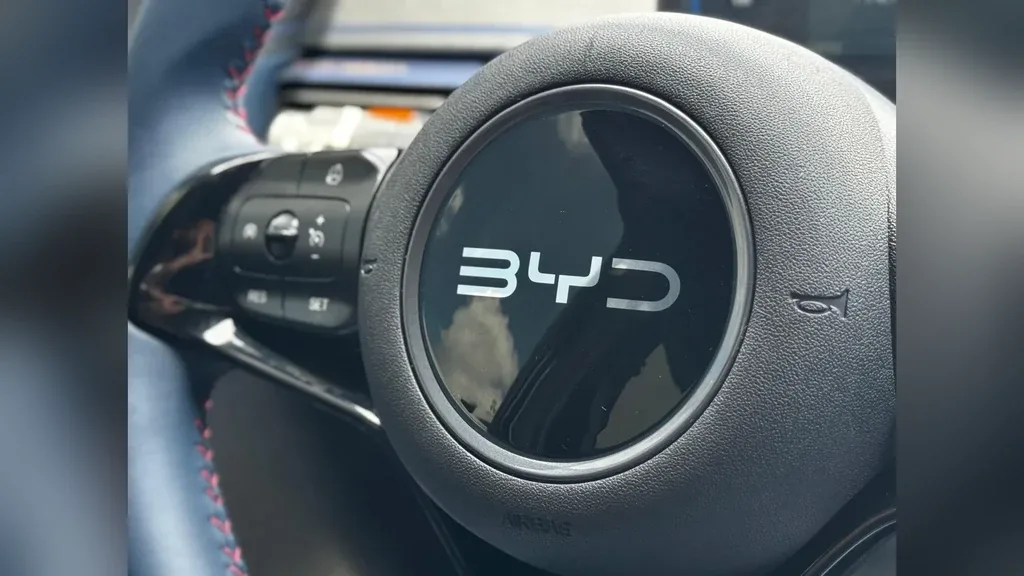 BYD Dolphin Mini - Imagem 20