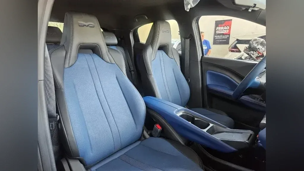 BYD Dolphin Mini - Imagem 10