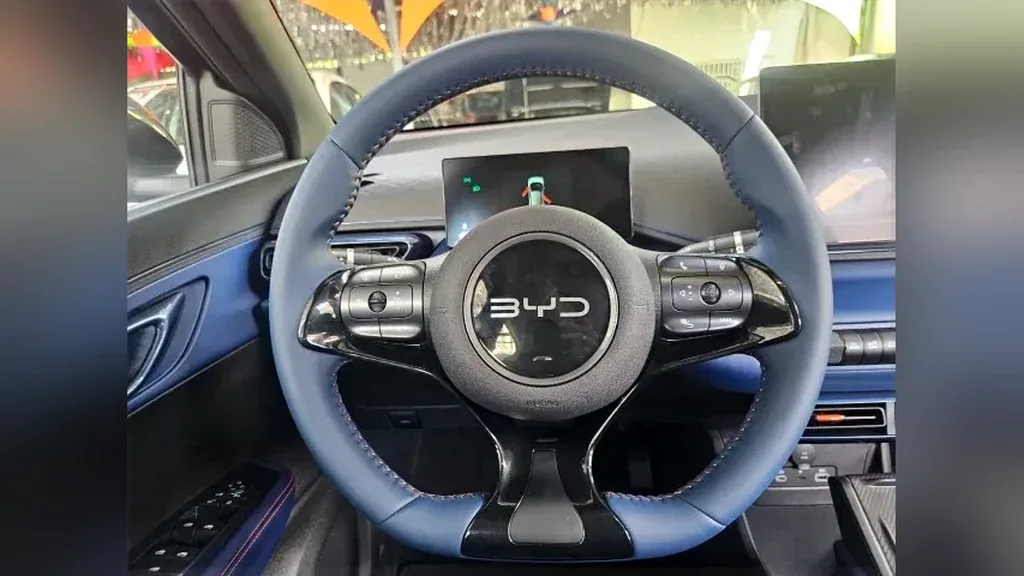 BYD Dolphin Mini - Imagem 13