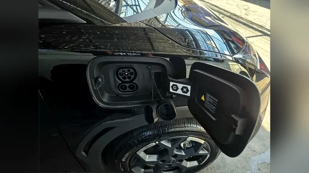 BYD Dolphin Mini - Imagem 18