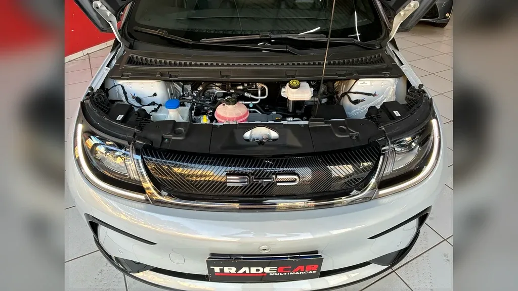 BYD Dolphin Plus - Imagem 12