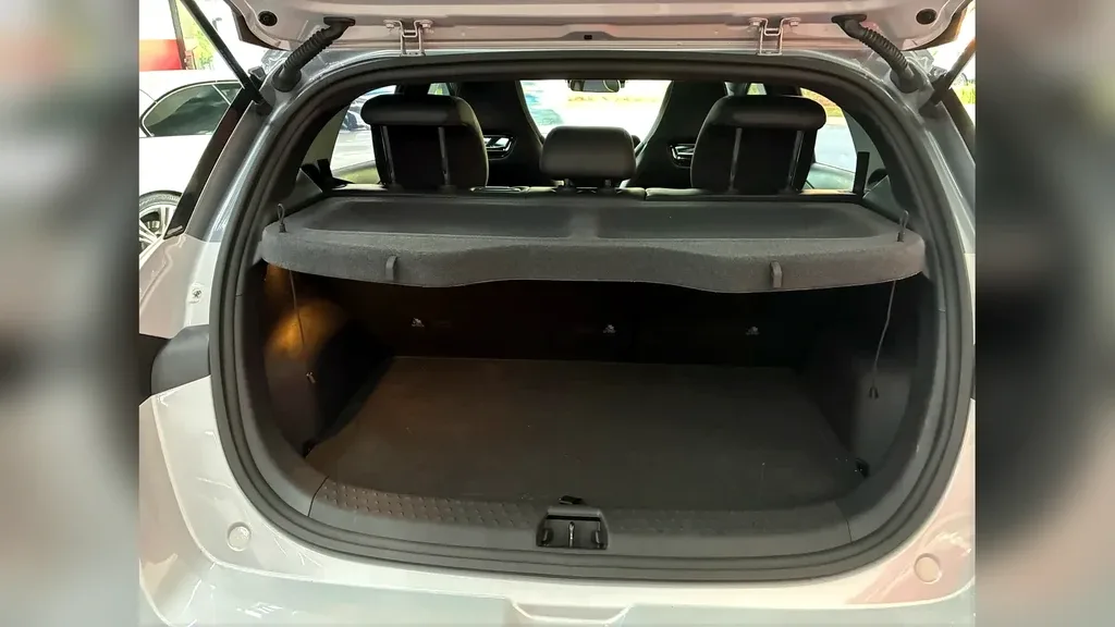 BYD Dolphin Plus - Imagem 13