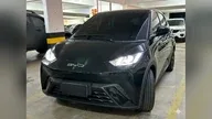 BYD Dolphin Mini - Miniatura 1