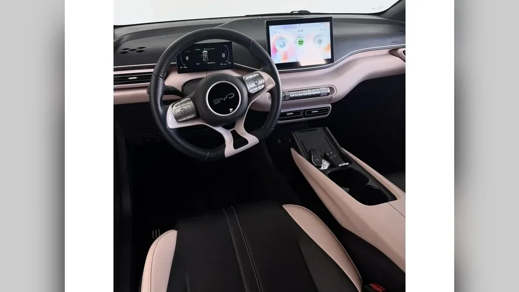 BYD Dolphin Mini - Imagem 6