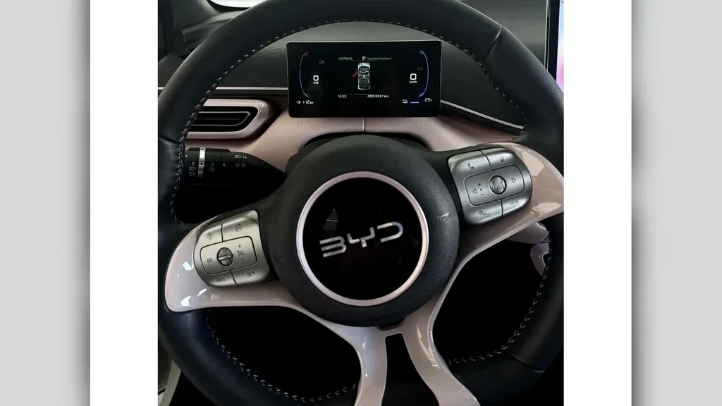 BYD Dolphin Mini - Imagem 7