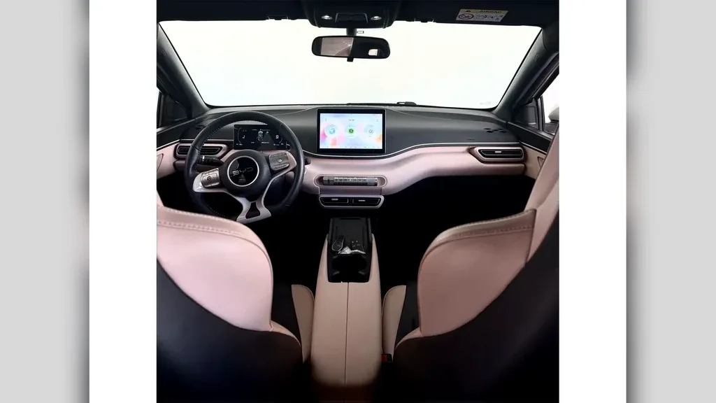 BYD Dolphin Mini - Imagem 9