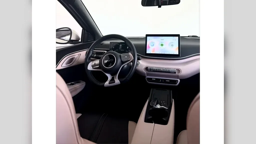 BYD Dolphin Mini - Imagem 10