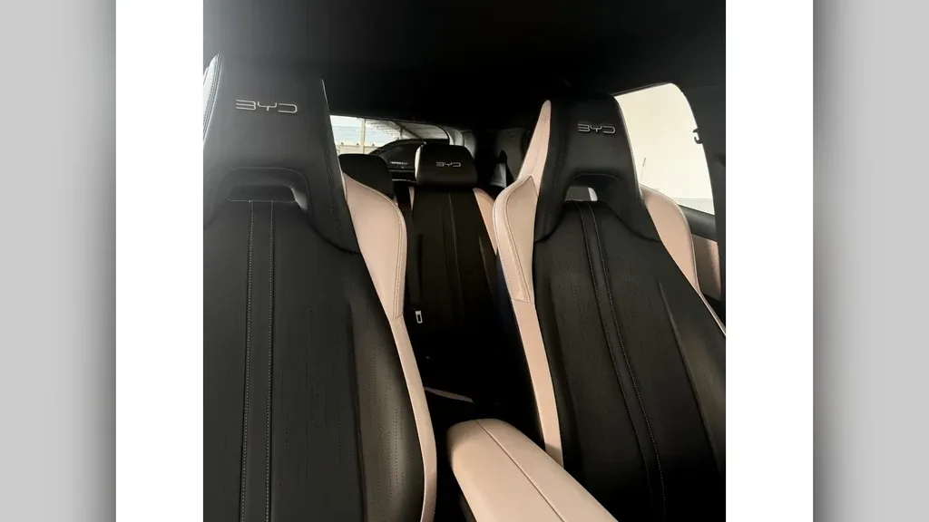 BYD Dolphin Mini - Imagem 11